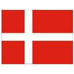 芬兰女足 丹麦女足